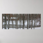 Snowy Lake II Poster