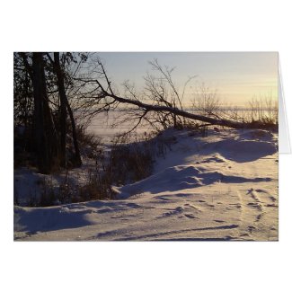Snowy Lake View Greeting Card