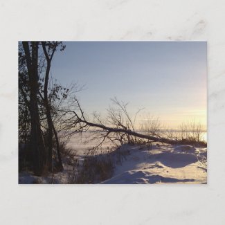Snowy Lake View postcard