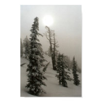 Snowy mountain and trees posters