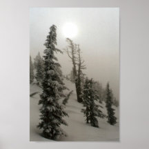 Snowy mountain and trees posters