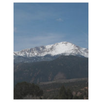 Snowy mountain flyers