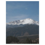 Snowy mountain flyers
