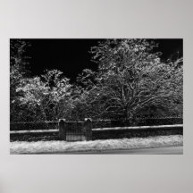 Snowy night poster
