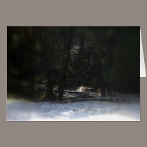 Snowy Oregon Forest 12 cards