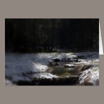 Snowy Oregon Forest, Fox Creek 12 cards