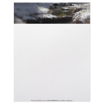 Snowy Oregon Forest, Fox Creek 12 Customized Letterhead