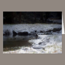Snowy Oregon Forest, Fox Creek 2 cards