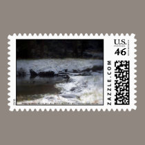 Snowy Oregon Forest, Fox Creek 2 stamps