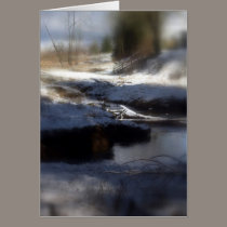Snowy Oregon Forest, fox creek 4 cards