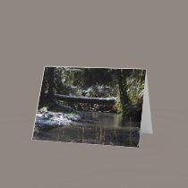 Snowy Oregon Forest, Fox Creek 5 cards
