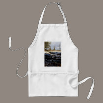Snowy Oregon Forest, fox creek 6 aprons