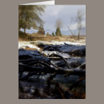 Snowy Oregon Forest, fox creek 6 cards