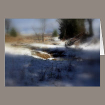 Snowy Oregon Forest, Fox Creek 7 cards