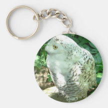 Snowy Owl Bird Key Chains