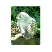 Snowy Owl Bird photo sculptures