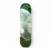 Snowy Owl Bird skateboards