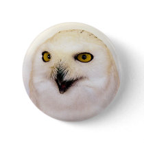Snowy Owl Pinback Button