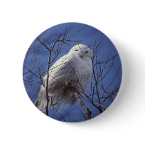 Snowy Owl Button