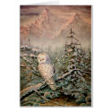 SNOWY OWL by SHARON SHARPE cards by sharonsharpe SNOWY OWL by SHARON SHARPE cards