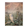 SNOWY OWL by SHARON SHARPE Postcards