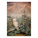 SNOWY OWL by SHARON SHARPE posters