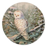 SNOWY OWL by SHARON SHARPE stickers