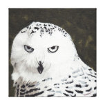 Snowy Owl Canvas Print