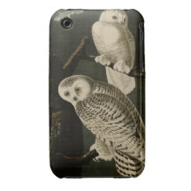 Snowy Owl iPhone 3 Case-Mate Cases