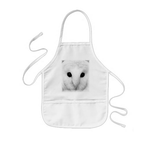 Snowy Owl Children's Smock Aprons
