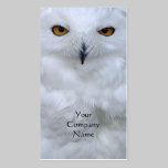 Snowy owl close up photo business card business cards