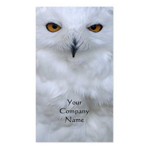 Snowy owl close up photo business card