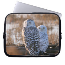 Snowy Owl Couple Laptop Computer Sleeves
