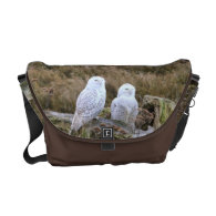 Snowy Owl Couple on Chocolate Brown Messenger Bag