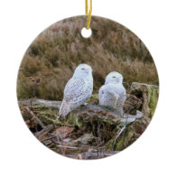 Snowy Owl Couple Ornaments