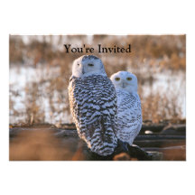 Snowy Owl Couple Personalized Invite