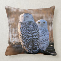 Snowy Owl Couple Pillows