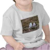 Snowy Owl Couple T-shirts