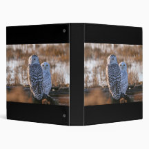 Snowy Owl Couple Vinyl Binder