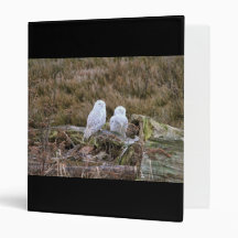 Snowy Owl Couple Vinyl Binders