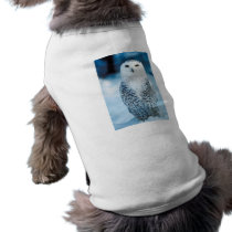 Snowy Owl pet clothing