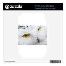 SNOWY OWL EYES iPhone 3G SKINS