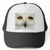 Snowy Owl hats