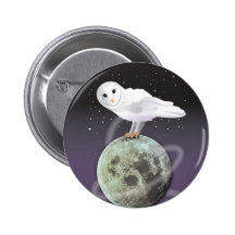 Snowy owl in the moonlight pinback buttons