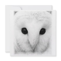 Snowy Owl Invitation