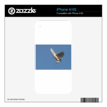 Snowy Owl iPhone 4 Decal