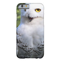 Snowy Owl Iphone 6 Barely there case iPhone 6 Case