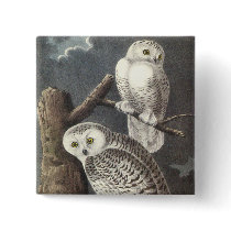 Snowy Owl, John Audubon Pins