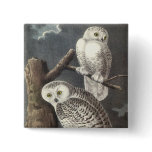 Snowy Owl, John Audubon Pins