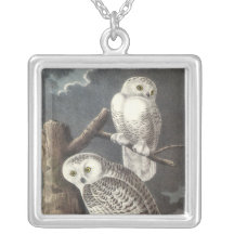 Snowy Owl, John Audubon Jewelry